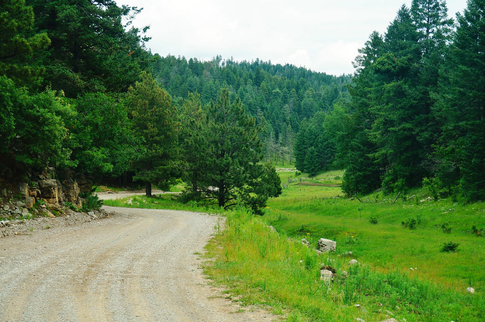 Sacramento Mountains, New Mexico Expedition Portal
